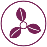 Morada Pequizeiro